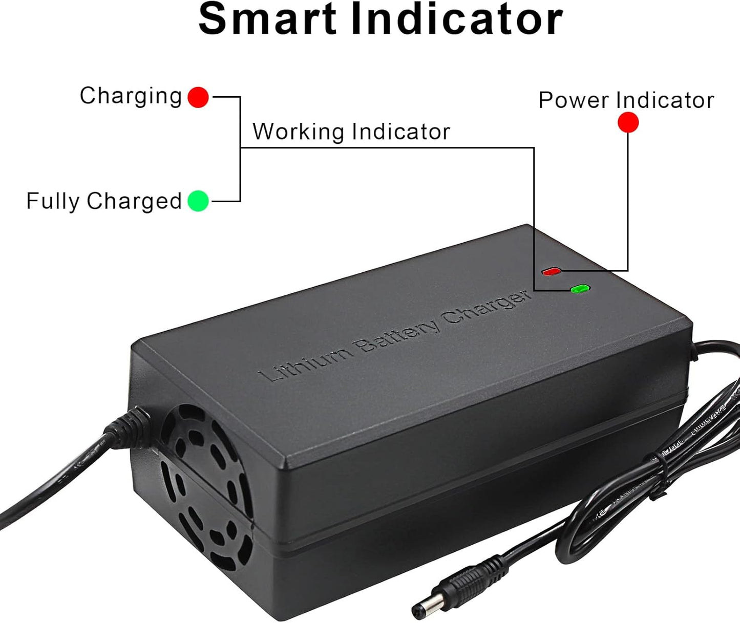 54.6V 5A Li Ion Battery Charger Multiple Plugs Battery Charger 13S 48V (Not Applicable to Lead-Acid Batteries)