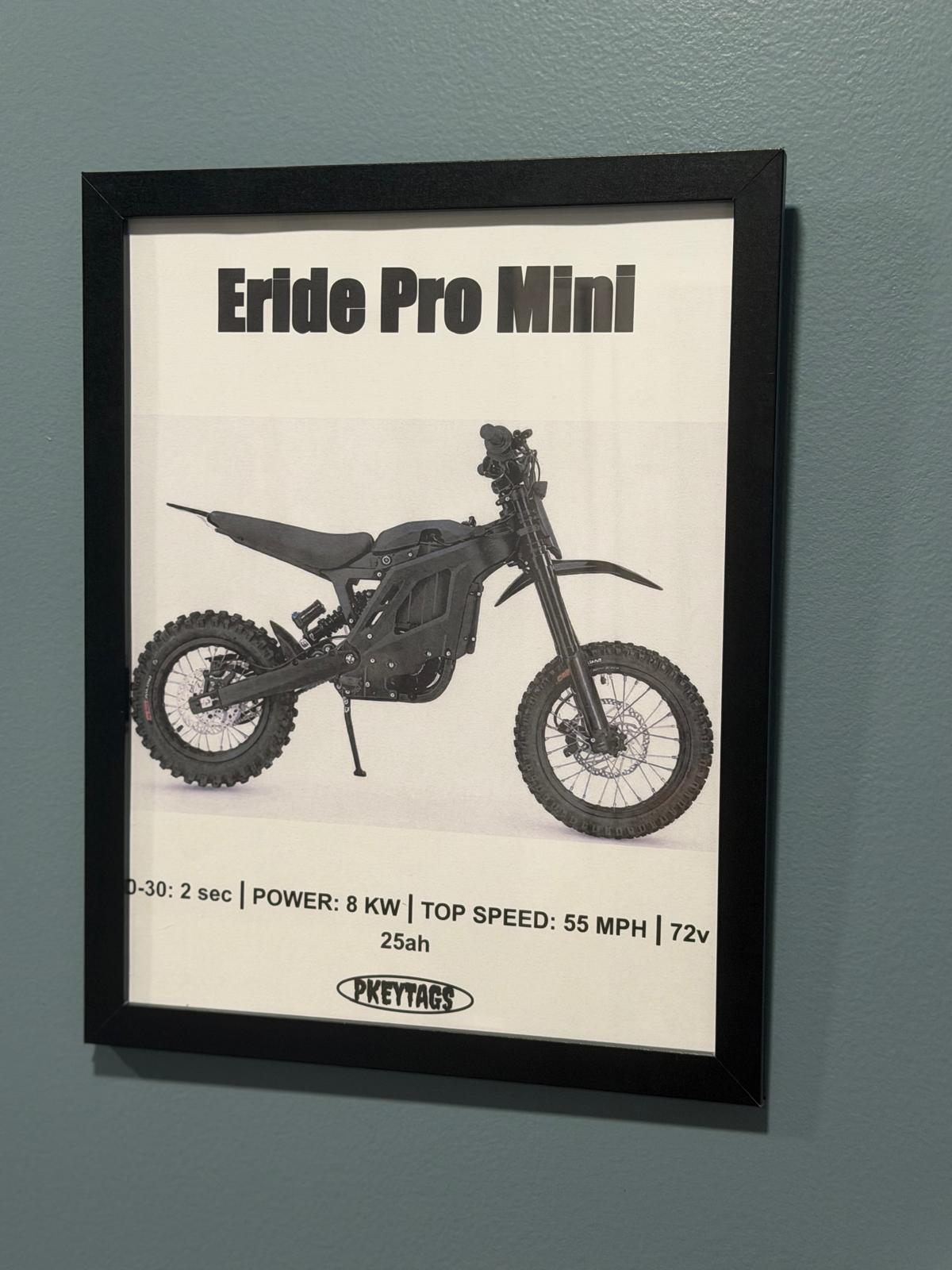 Eride Pro Mini Framed Poster
