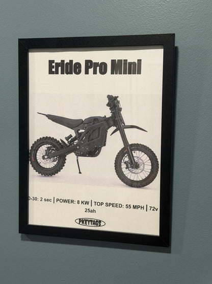Eride Pro Mini Framed Poster