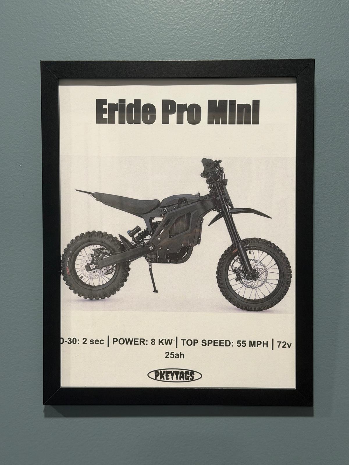 Eride Pro Mini Framed Poster