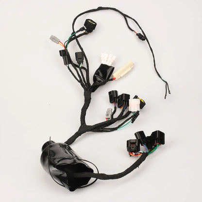 Surron Light Bee X Sur-Ron LBX for Segway X160 X260 X 160 260 Full Main Wire Wiring Assy Harness Electric Dirt