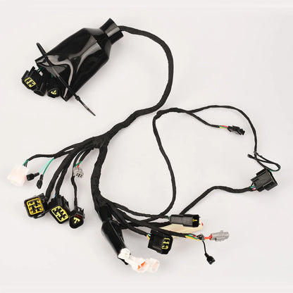 Surron Light Bee X Sur-Ron LBX for Segway X160 X260 X 160 260 Full Main Wire Wiring Assy Harness Electric Dirt
